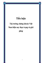 Tiểu luận thị trường chứng khoán việt nam hiện nay thực trạng và giải pháp, luận văn tốt nghiệp đại học, thạc sĩ, đồ án,tiểu luận tốt nghiệp