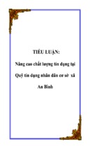 Luận văn nâng cao chất lượng tín dụng tại quỹ tín dụng nhân dân cơ sở xã an bình, luận văn tốt nghiệp đại học, thạc sĩ, đồ án,tiểu luận tốt nghiệp