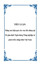 Tiểu luận nâng cao hiệu quả cho vay tiêu dùng tại sở giao dịch ngân hàng nông nghiệp và phát triển nông thôn việt nam, luận văn tốt nghiệp đại học, thạc sĩ, đồ án,tiểu luận tốt nghiệp