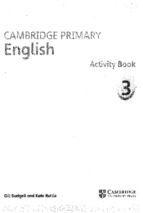 Cambridge primary english 3 activity book
