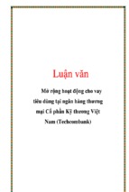 Luận văn mở rộng hoạt động cho vay tiêu dùng tại ngân hàng thương mại cổ phần kỹ thương việt nam (techcombank), luận văn tốt nghiệp đại học, thạc sĩ, đồ án,tiểu luận tốt nghiệp