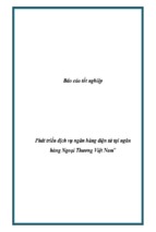 Phát triển dịch vụ ngân hàng điện tử tại ngân hàng ngoại thương việt nam, luận văn tốt nghiệp đại học, thạc sĩ, đồ án,tiểu luận tốt nghiệp