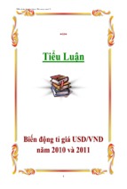 Tiểu luận biến động tỉ giá usd_vnd năm 2010 và 2011, luận văn tốt nghiệp đại học, thạc sĩ, đồ án,tiểu luận tốt nghiệp