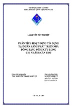 Luận văn phân tích hoạt động tín dụng tại ngân hàng phát triển nhà đồng bằng sông cửu long chi nhánh cần thơ, luận văn tốt nghiệp đại học, thạc sĩ, đồ án,tiểu luận tốt nghiệp