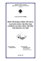 Luận văn phân tích hoạt động tín dụng tại ngân hàng thương mại cổ phần sài gòn công thương chi nhánh cần thơ, luận văn tốt nghiệp đại học, thạc sĩ, đồ án,tiểu luận tốt nghiệp