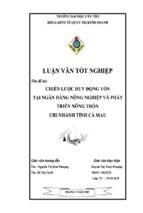 Luận văn chiến lược huy động vốn tại ngân hàng nông nghiệp và phát triển nông thôn chi nhánh tỉnh cà mau, luận văn tốt nghiệp đại học, thạc sĩ, đồ án,tiểu luận tốt nghiệp