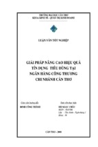 Luận văn giải pháp nâng cao hiệu quả tín dụng tiêu dùng tại ngân hàng công thương chi nhánh cần thơ, luận văn tốt nghiệp đại học, thạc sĩ, đồ án,tiểu luận tốt nghiệp