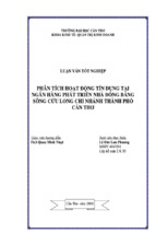 Luận văn phân tích hoạt động tín dụng tại ngân hàng phát triển nhà đồng bằng sông cửu long chi nhánh thành phố cần thơ
