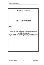 Một số giải pháp nhằm phát triển thị trường tiêu thụ sản phẩm giày dép của công ty tnhh sản xuất hàng tiêu dùng bình tân (bita's), luận văn tốt nghiệp đại học, thạc sĩ,