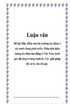 đặc điểm của thị trường lao động ở các nước đang phát triển   phân tích hiện tượng dư thừa lao động ở việt nam dưới góc độ tăng trưởng kinh tế   các giải pháp để xử lý vấn đề này,