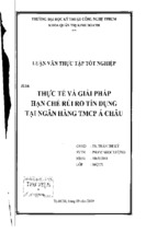 Luận văn thực tế và giải pháp hạn chế rủi ro tín dụng tại ngân hàng thương mại cổ phần á châu, luận văn tốt nghiệp đại học, thạc sĩ, đồ án,tiểu luận tốt nghiệp