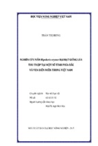 Nghiên cứu nấm bipolaris oryzaehại hạt giống lúa  thu thập tại một số tỉnh phía bắc  và ven biển miền trung việt nam