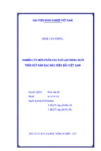 Nghiên cứu bón phân cho ngô lai trung ngày  trên đất xám bạc màu miền bắc việt nam
