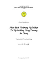 Luận văn phân tích tín dụng ngắn hạn tại ngân hàng công thương an giang, luận văn tốt nghiệp đại học, thạc sĩ, đồ án,tiểu luận tốt nghiệp