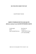 Nghiên cứu bệnh do phytoplasma hại sắn  (manihot esculentacrantz) tại một số tỉnh đông nam bộ