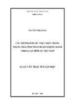 Các tội phạm được thực hiện trong trạng thái tinh thần bị kích động mạnh theo luật hình sự việt nam