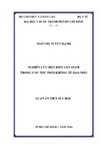 Nghiên cứu đột biến gen egfr trong ung thƣ phổi không tế bào nhỏ