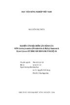 Nghiên cứu đặc điểm gây bệnh của  nấm isaria javanica(friederichs & bally) samson &  hywel jones ký sinh sâu khoang ở nghệ an