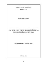 Các hình phạt chính không tước tự do theo luật hình sự việt nam