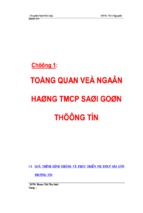 Chuyên đề một số giải pháp nâng cao hiệu quả hoạt động tín dụng doanh nghiệp tại chi nhánh chợ lớn ngân hàng sài gòn thương tín, luận văn tốt nghiệp đại học, thạc sĩ,