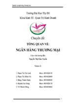 Chuyên đề tổng quan về ngân hàng thương mại, luận văn tốt nghiệp đại học, thạc sĩ, đồ án,tiểu luận tốt nghiệp