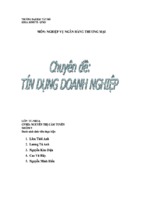 Chuyên đề tín dụng doanh nghiệp, luận văn tốt nghiệp đại học, thạc sĩ, đồ án,tiểu luận tốt nghiệp