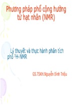 Lý thuyết và thực hành phân tích phổ 1h nmr, 13c nmr & đại cương về sắc ký