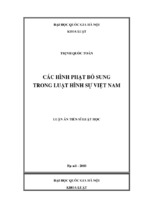 Các hình phạt bổ sung trong luật hình sự việt nam