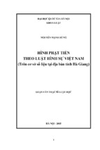 Hình phạt tiền theo luật hình sự việt nam ( trên cơ sở số liệu tại địa bàn tỉnh hà giang)