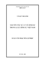 Nguyên tắc xử lý về hình sự trong luật hình sự việt nam