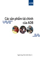 Các sản phẩm tài chính của ngân hàng châu á adb, luận văn tốt nghiệp đại học, thạc sĩ, đồ án,tiểu luận tốt nghiệp