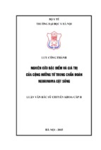 Nghiên cứu đặc điểm và giá trị của cộng hưởng từ trong chẩn đoán neurinoma cột sống