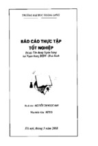 Báo cáo thực tập tín dụng ngân hàng tại ngân hàng bidv hòa bình, luận văn tốt nghiệp đại học, thạc sĩ, đồ án,tiểu luận tốt nghiệp