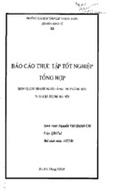 Báo cáo thực tập tại chi nhánh ngân hàng thương mại cổ phần hàng hải hai bà trưng   hà nội, luận văn tốt nghiệp đại học, thạc sĩ, đồ án,tiểu luận tốt nghiệp