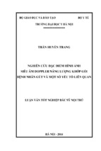 Nghiên cứu đặc điểm hình ảnh siêu âm doppler năng lượng khớp gối bệnh nhân gút và một số yếu tố liên quan