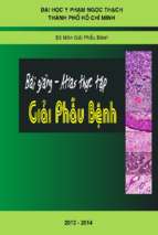 Bài giảng thực tập giải phẫu bệnh 2015 – đh yk pnt