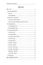 Tìm hiểu tấn công dos   ddos   luận văn, đồ án, đề tài tốt nghiệp