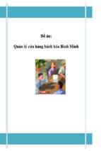 đề tài quản lý cửa hàng bách hóa bình minh   luận văn, đồ án, đề tài tốt nghiệp