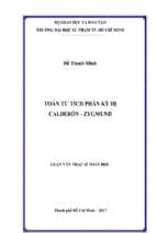 Toán tử tích phân kỳ dị calderón   zygmund