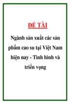 Ngành sản xuất các sản phẩm cao su tại việt nam hiện nay   tình hình và triển vọng