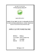 Nghiên cứu đặc điểm cấu trúc và sinh khối của rừng vầu đắng (indosasa angustata mc. clure) thuần loài tại xã cư lễ   huyện na rì   tỉnh bắc kạn