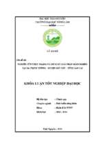 Nghiên cứu thực trạng và đề xuất giải pháp giảm nghèo tại xã Trịnh Tường - huyện Bát Xát - tỉnh Lào Cai