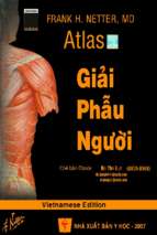 Atlas giải phẫu chậu hông và đáy chậu