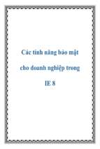 Các tính năng bảo mật cho doanh nghiệp trong ie 8   luận văn, đồ án, đề tài tốt nghiệp