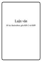 đề tài redistribute giữa ripv2 và ospf   luận văn, đồ án, đề tài tốt nghiệp