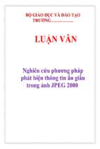 Luận văn nghiên cứu phương pháp phát hiện thông tin ẩn giấu trong ảnh jpeg 2000   luận văn, đồ án, đề tài tốt nghiệp