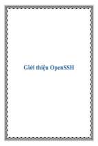 Giới thiệu openssh   luận văn, đồ án, đề tài tốt nghiệp