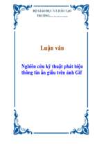 Luận văn nghiên cứu kỹ thuật phát hiện thông tin ẩn giấu trên ảnh gif   luận văn, đồ án, đề tài tốt nghiệp