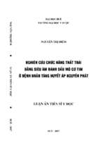 Nghiên cứu chức năng thất trái bằng siêu âm đánh dấu mô cơ tim ở bệnh nhân tăng huyết áp nguyên phát