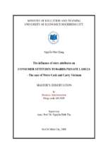 The influence of store attributes on consumer attitudes towards private labels the case of metro cash and carry vietnam  luận văn thạc sĩ